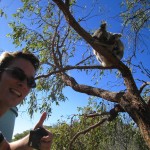 Ich bei den Koalas