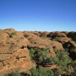 Kings Canyon und mehr